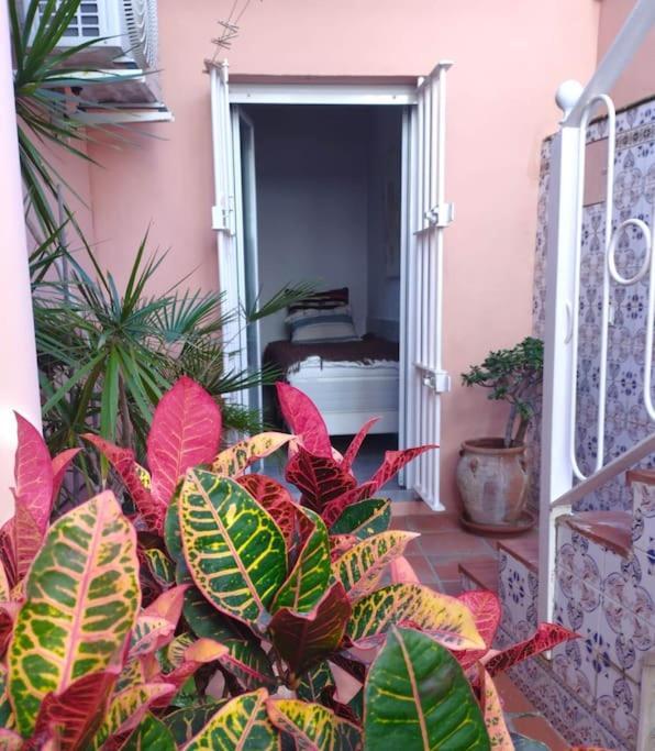 Amazing 3 Bedroom Townhouse Close To Burriana, 네르하 외부 사진